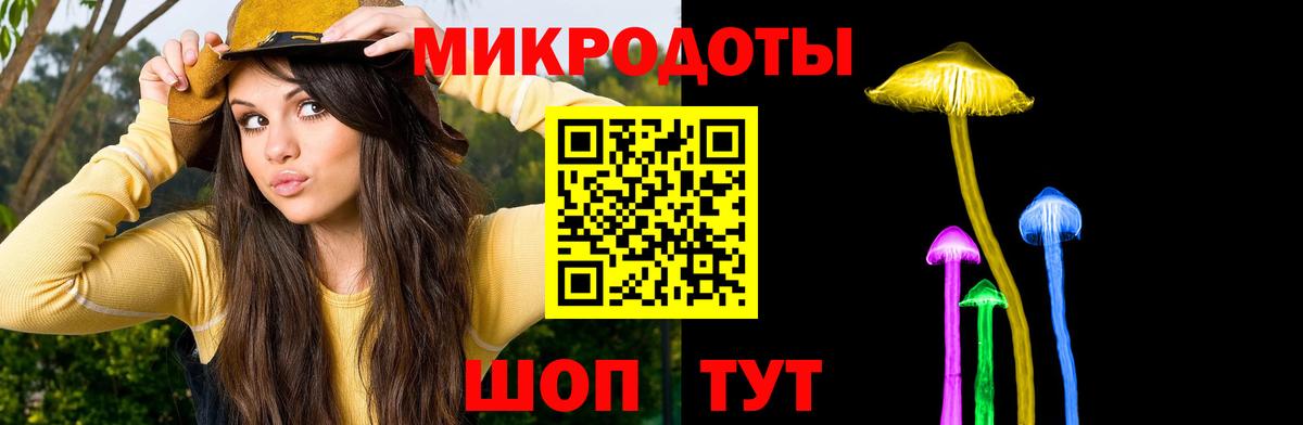 Псилоцибиновые грибы Psilocybe Уварово